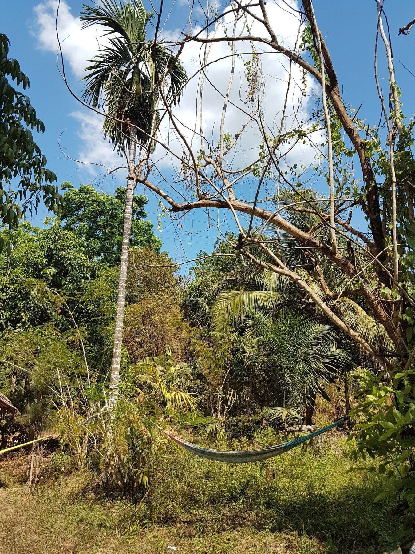 Slacklines Hostel Ko Lanta Екстериор снимка